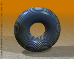 Interfering Point Wave on a Torus